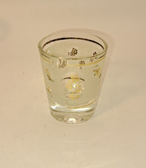 6 Vintage Libbey Frosted Golden Rose Shot Glasses