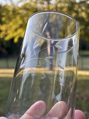 Princess House Clear Gray Wheel Cut Heritage 12oz Tumbler Very Good Used Cond.