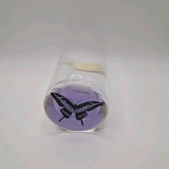 RONA Papilio Cresphontes Butterfly Purple Base Drinking Glass 4.5″ VintageVase