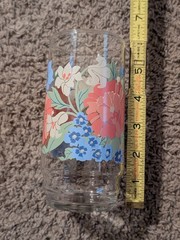 Set of 4 Vintage Flower Floral Mid Century Tumblers 5-3/4″ Drinking Glasses