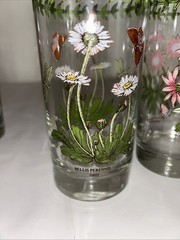 Set of 6 Portmeirion Botanic Garden Highball Glasses 16oz- Variety Of Designs