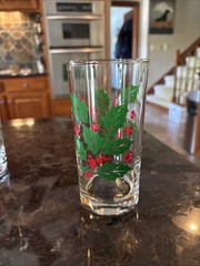 Vintage Holly & Berries Christmas Holiday Drink Glasses Tumblers – Set Of 8