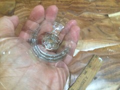 7» trumpet shape Optic Panel water all purpose glass Ball Stem set(s) of four