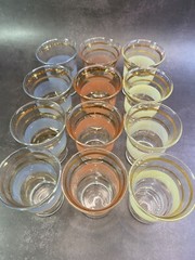 Vintage Frosted and Gold Stripe Juice Glass Set.