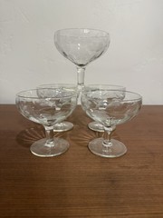 Vintage Princess House Champagne Glasses Crystal Heritage Etched Floral Set Of 5