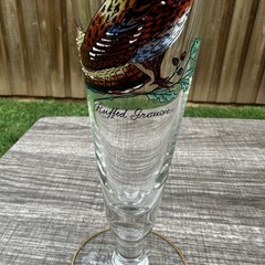 Ned Smith 8.25″ Pilsner Beer Glasses-Pitcher-Waterfowl-Painted Ducks- Set of 7