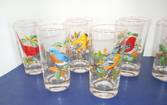 West Virginia Glass Set of 8 AMERICAN SONGBIRDS 15oz Tumblers Highballs