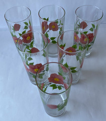 Franciscan Desert Rose 16 oz Tumbler Glases 6″ *set of 6*