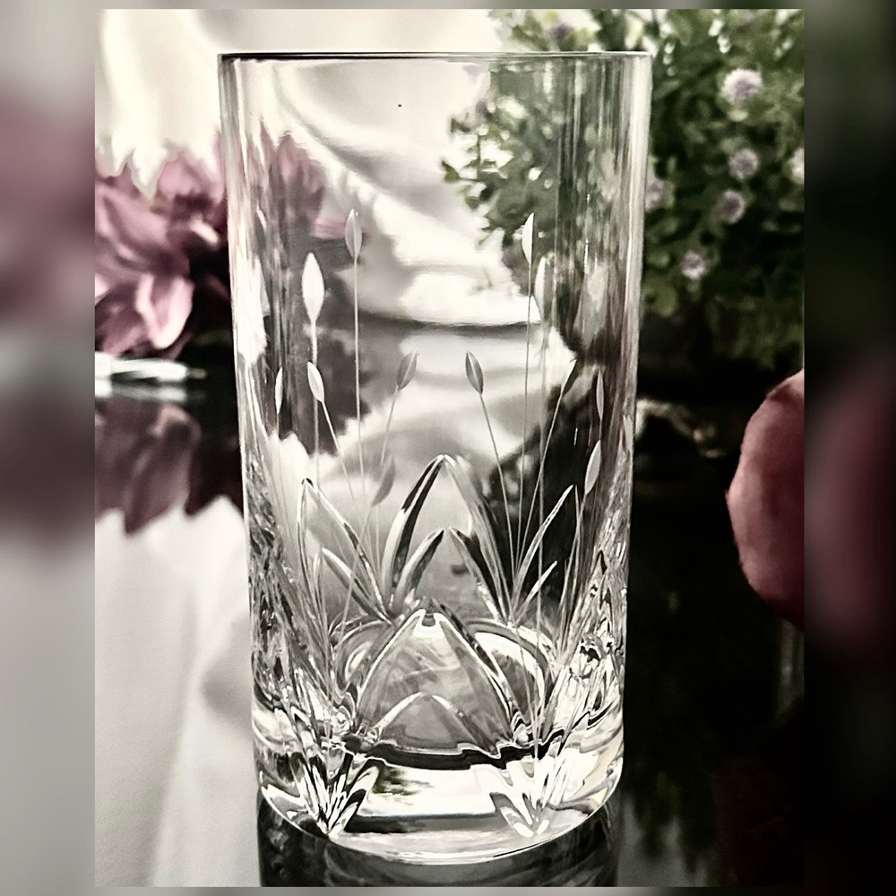 Mikasa Petit Points Highball Glass 5 1/4″ Floral Replacement