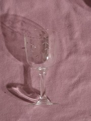 Copa de vino Noritage patron Bamboo, grabado de tallos y hojas de Bambú, 1920