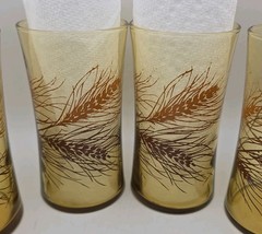 Vintage MCM Amber Wheat Glasses Set Of 6 Orange Brown Cottage Thanksgiving Fall