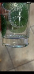 Vintage Fred Press Highball Glasses Raised Sugared Lime Slices Set of 5 Signed