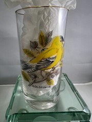 Vintage Song Birds Tumblers Lemonade Pitcher Tumbler Set West Virginia Glass MCM