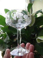 Tiffin Elegant Etched Glass 4 5/8th» Tall Champagne Stem 13643 Princess Pattern
