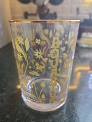 Aquarius And Aries MCM Glasses