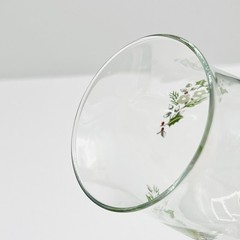 Vintage Late 80-90s Pfaltzgraff Heirloom Holiday Winter Floral Wine Glass