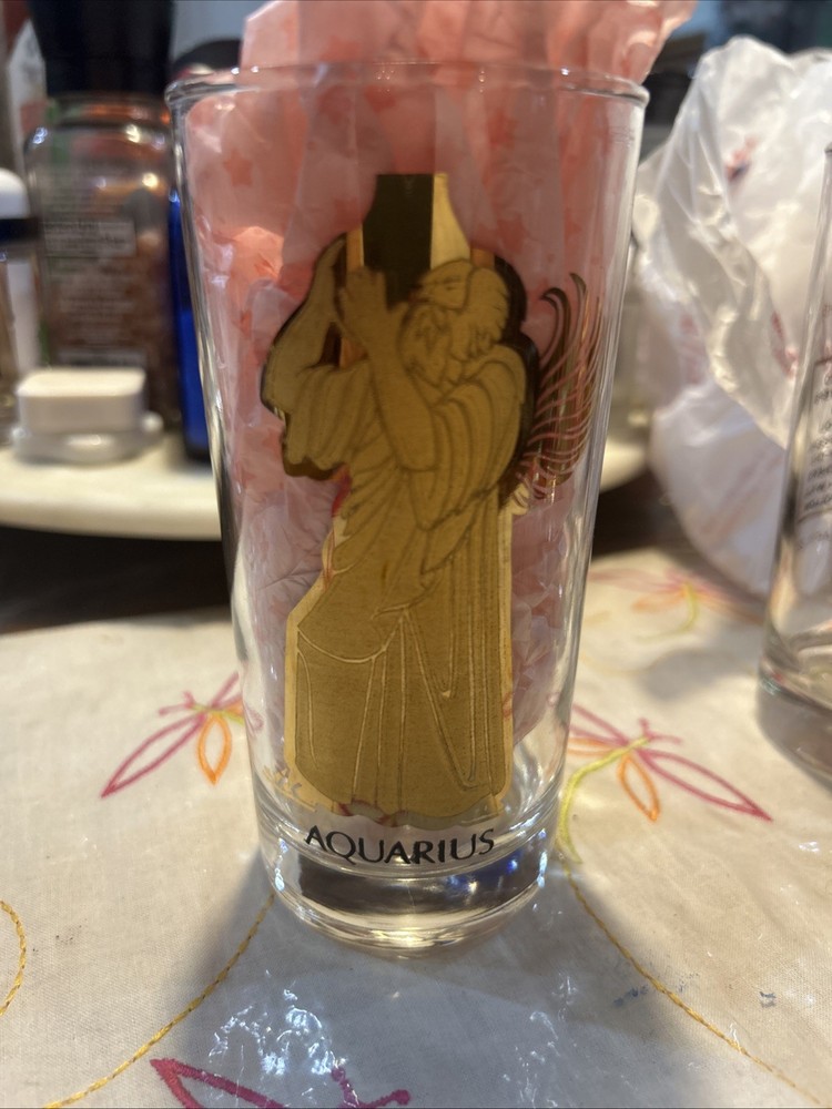 Zodiac Horoscope Astrology Aquarius Highball Drink Glass Tumbler Mid Century vtg