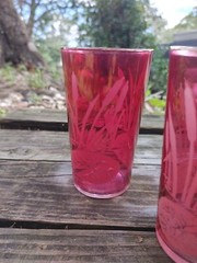 6 Vintage Etched Cattails & Lilly Pad Cranberry Juice Glass/Tumbler