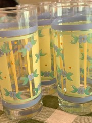 Pfaltzgraff Summer Breeze Old Fashioned Glassware Tumblers, Set of 20
