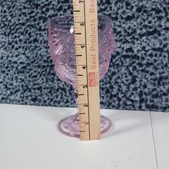 Wild Rose Madonna Inn Clear Pink Glass Water Goblet 6.5″ NEW!