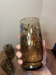 (7) beautiful Libbey Butterfly Tawny Garden Party 6” Tumbler Butterflies glasses