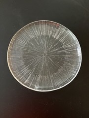 Sasaki Rain Dinner Plate 9.75” – Rain Glass Clear MCM Glacier Tree Bark Textured