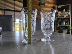 2 Vintage Fostoria Water Goblets Tumblers Morning Glory Etched Floral Gorgeous!