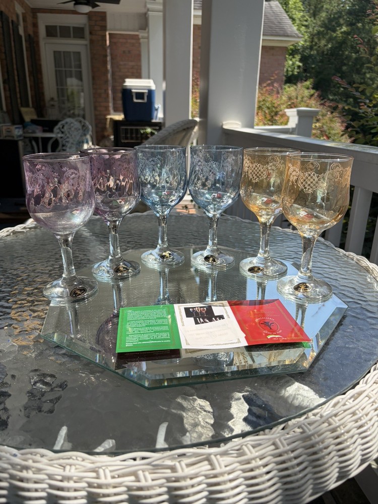 Set of 6 CRISTALLERIA FUMO Hand Made IN ITALY etched Wine Glasses