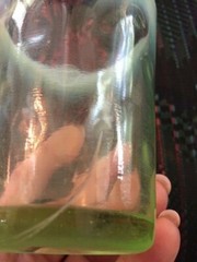 Opalescent Vaseline Glass Polka Dot Tumbler 1880s victorian 3-7/8″ tall Vintage