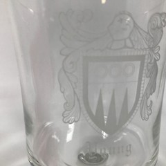 YOUNG Etched Coat Of Arms Family Crest 6.75in X 3.25in Wine Glass Water Goblet