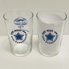 2 Maine Lakes Brewfest 2020/21 «the missed year» glasses highwire hydroponics.