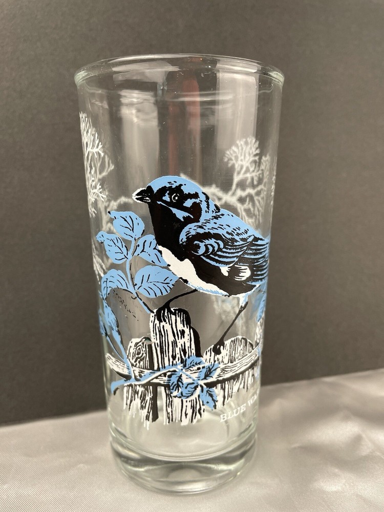 Vtg. BLUE WARBLER drinking Glass 5 3/4 inches Ann Page Bird Series Tumbler