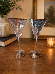 Vintage Crystal Etched Floral Martini Glasses with Gold Rim – Pair of 2