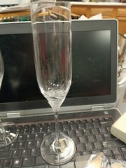NWT MILLER ROGASKA LAURA Champagne Flute, 10.5″ Tall Frosted Blown Crystal