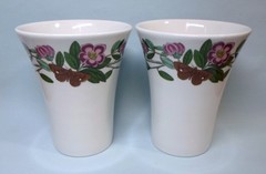 Vintage Pair PORTMEIRION TUMBLERS – RHODODENDRON Botanic Garden Series 4″ Tall