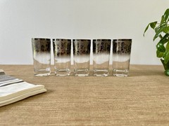 Vintage Dorothy Thorpe Ombre Embossed Highball Glasses – Set of 5