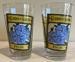 VTG LIBBEY Garden Seeds Flower Glasses Daisy Petunia Phlox SET OF 2 RARE