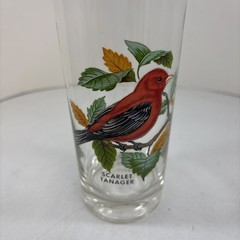 “Scarlet Tanager” Vintage 12oz Flat Tumbler By West Virginia Glass Specialty