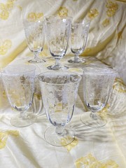 Set of 6 Fostoria Navarre Crystal 5 3/8″ Floral Etched Footed Water Tumblers