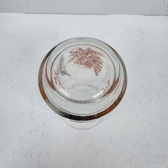 Vintage Libbey Glass Leaves Ferns Tumbler Orange Brown Black Autumn Fall Juice