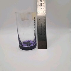 RONA Papilio Cresphontes Butterfly Purple Base Drinking Glass 4.5″ VintageVase