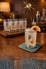Vintage Frosted Gold Leaf Tumblers Set 6 MCM Barware Juice Glasses