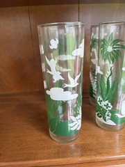 Set Of 8 Vintage 7″ Libbey Tropical Tiki Drinking Tom Collins Glasses