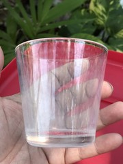 Kaj Franck, One glass Tumbler Kartio Kimara, Nuutajarvi Iittala Signed