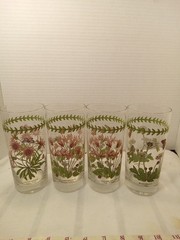 4 Portmeirion 18 oz Highball Water Iced Tea Tumblers Botannic Garden Hnd Painted