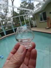 Pioneer Clear Glass Japan Gray Cut Willow Moon 1.2oz Shot Glass 1 15/16th» EUC