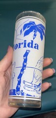 Vintage Unbranded Frosted Souvenir Tumbler FLORIDA SUNSHINE STATE