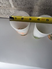 Vintage Arizona Cactus Frosted Glasses Set of 8 Tumblers w Metal Carrier MCM