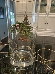8 Spode Christmas Tree Highball Tumbler Glass 6″ 22K Gold Trim w Foam StorageBox