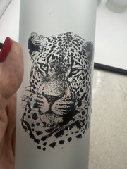 5 FIRNA Indonesia Tall Frosted Glass Tumblers African Safari Animals Vtg
